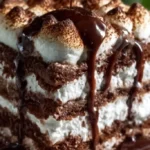 hot chocolate lasagna 2026 02 26 000553 683x1024 1